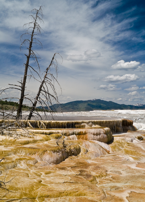 Mammoth Hot Springs